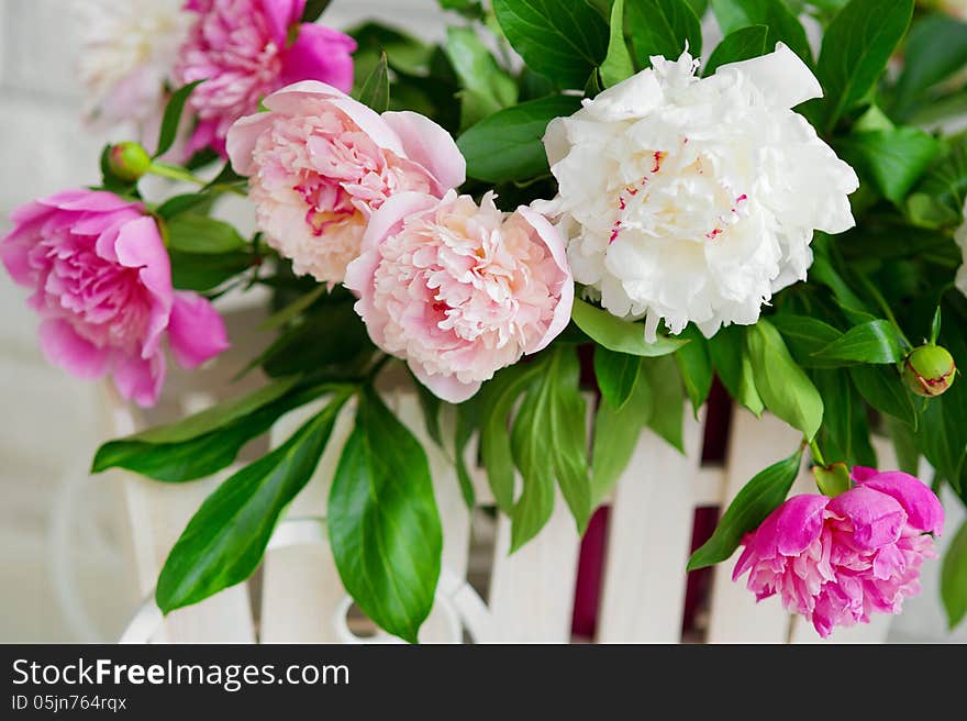 Bunch of white and pink peonies closeup. Bunch of white and pink peonies closeup