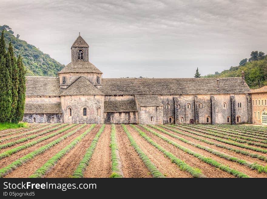 Abbey Of Senanque, France