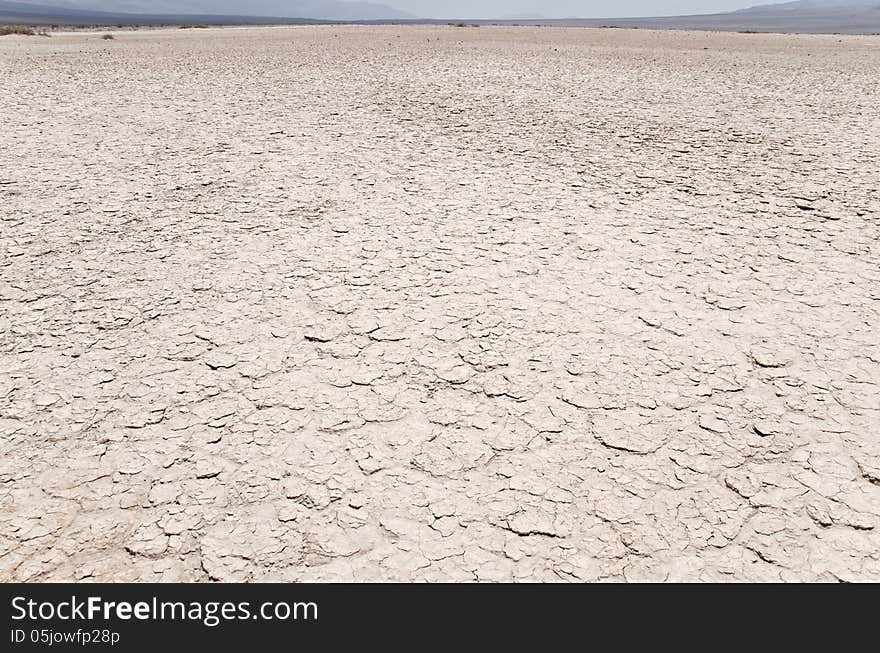 Mojave desert in USA , California