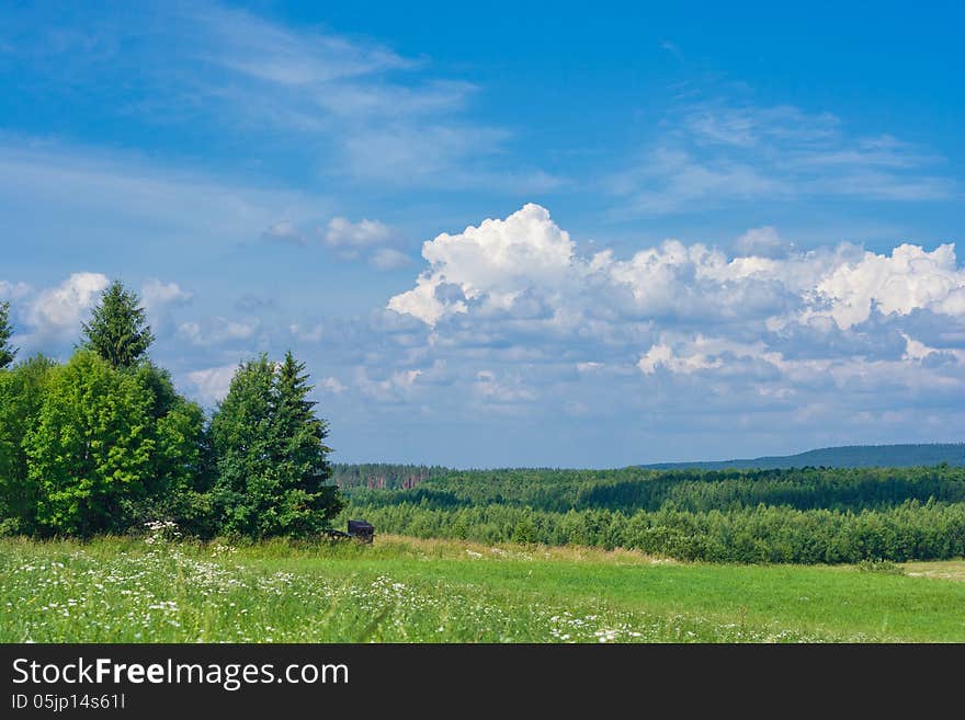 Green grass and a bright blue sky. Green grass and a bright blue sky