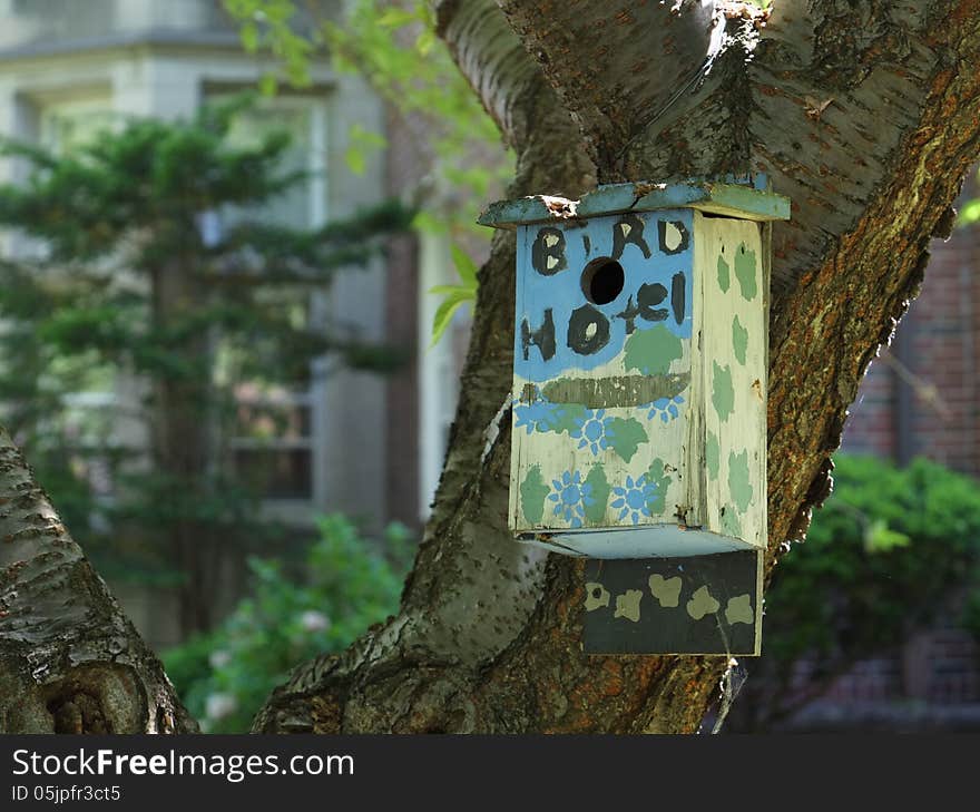 Colorful birdhouse hangs from tree trunk, horizontal. Colorful birdhouse hangs from tree trunk, horizontal.