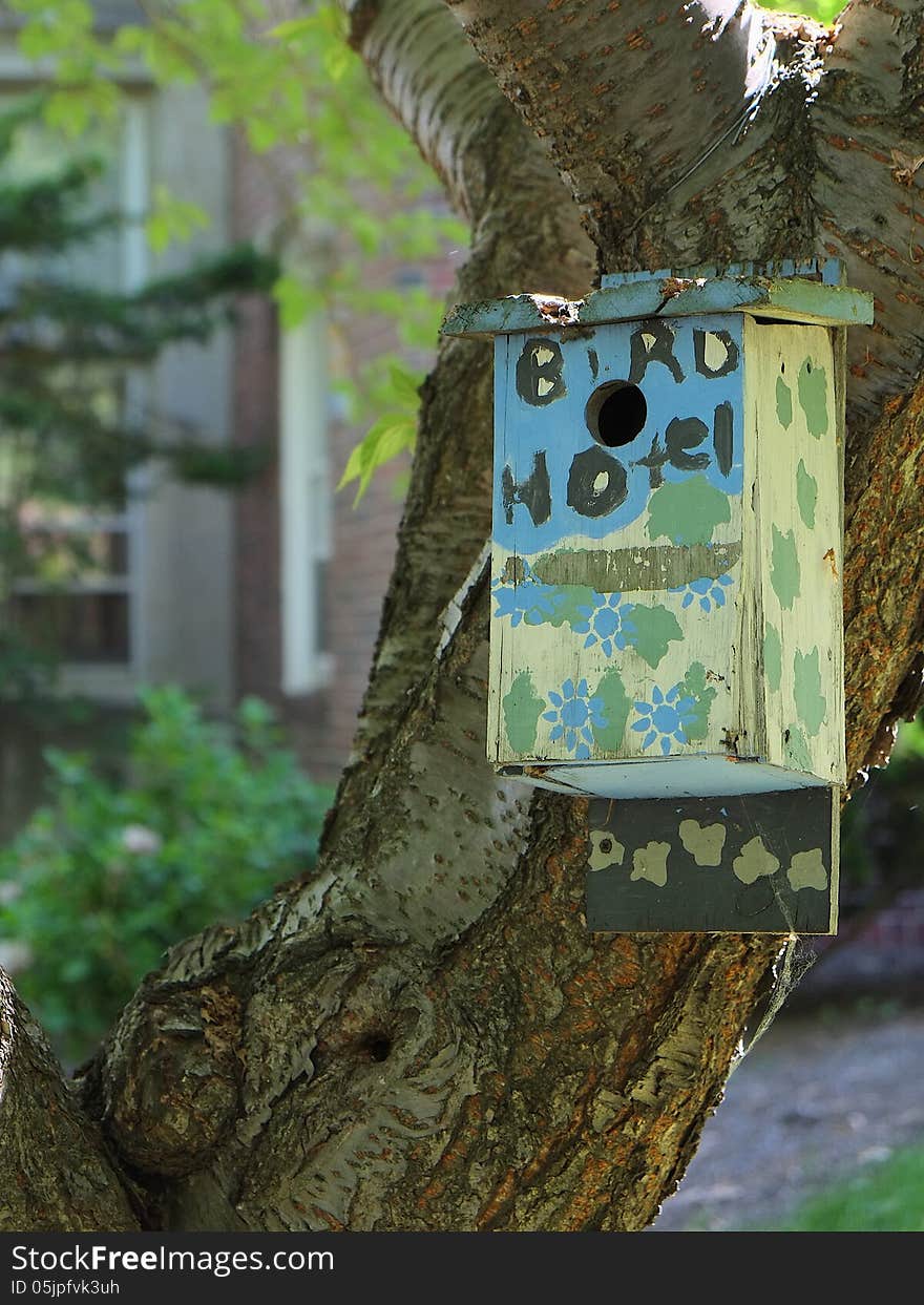 Colorful birdhouse hangs from tree trunk, vertical. Colorful birdhouse hangs from tree trunk, vertical.