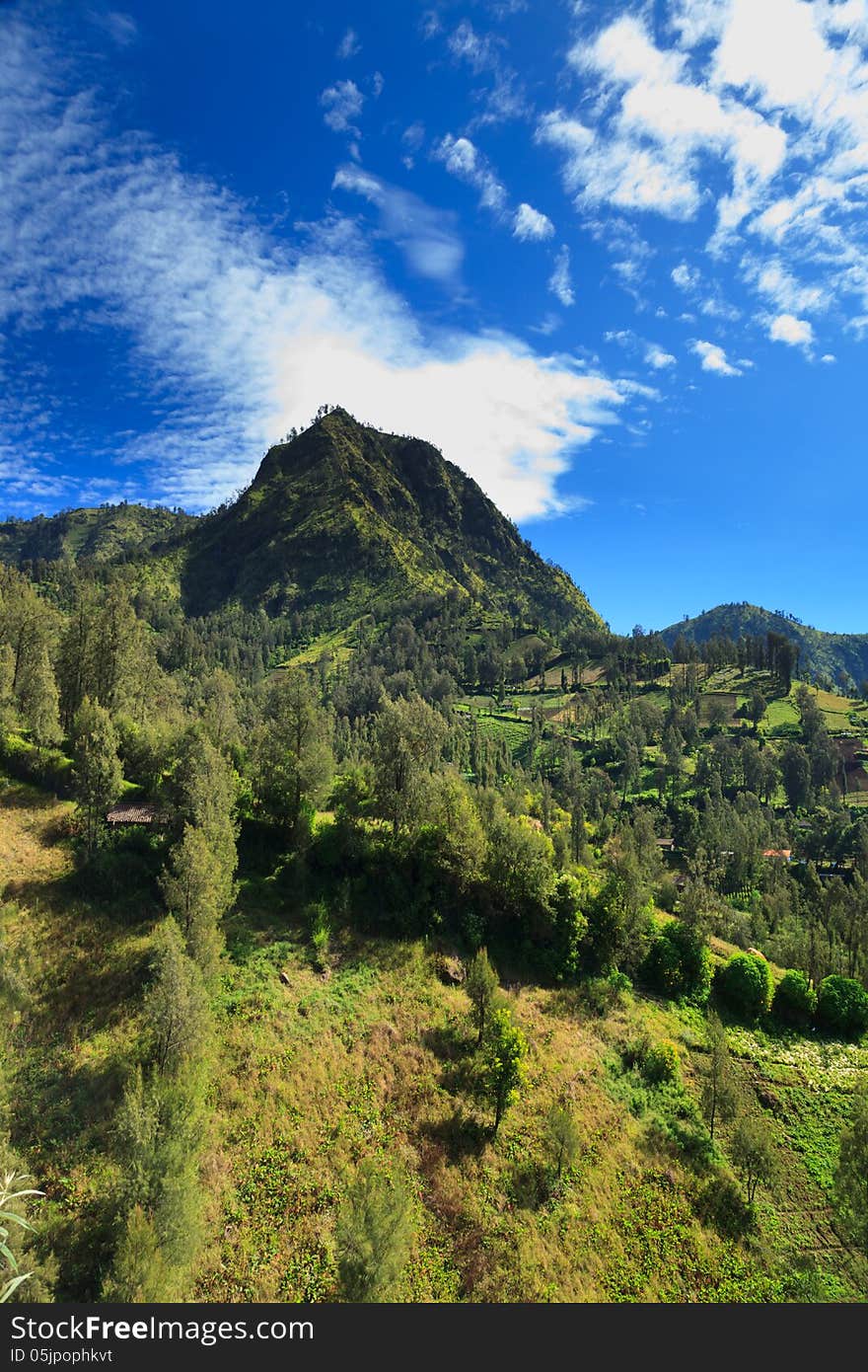 Summer landscape in high mountains and the blue sky