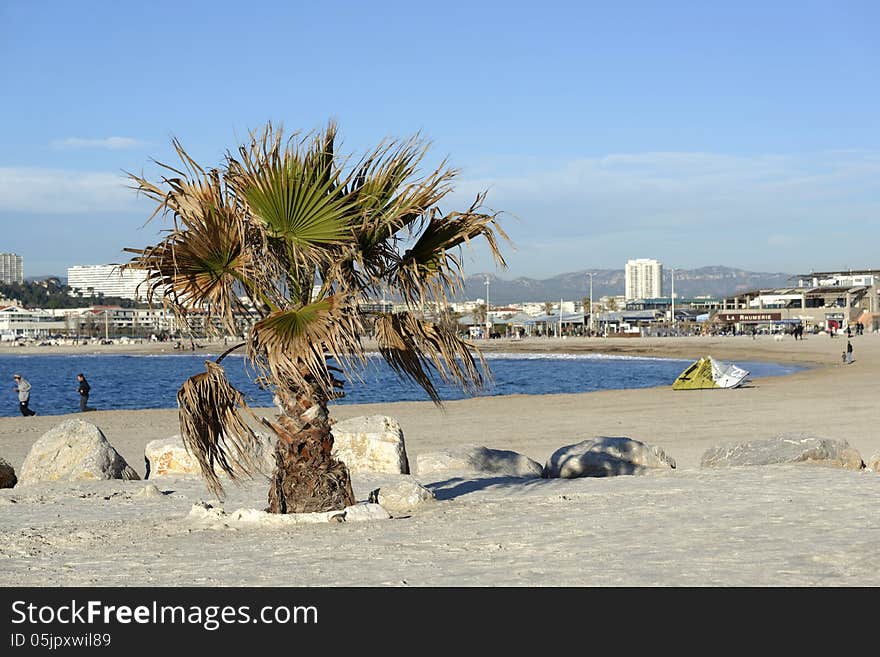 Beach by a sunny winter day. France, mediterranean coast. Beach by a sunny winter day. France, mediterranean coast.