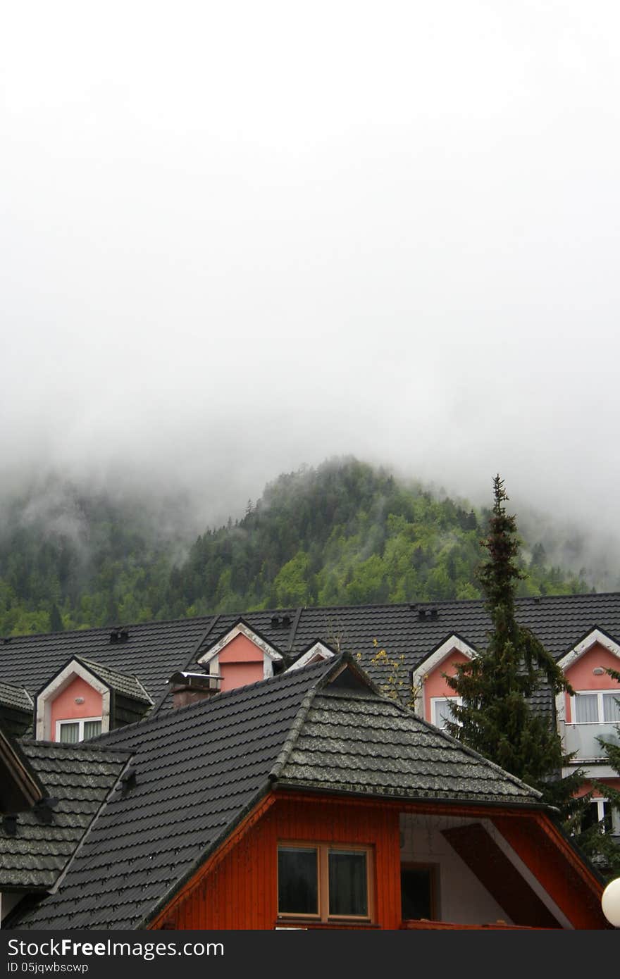 Detail of fogy morning in Kranjska Gora, Slovenia