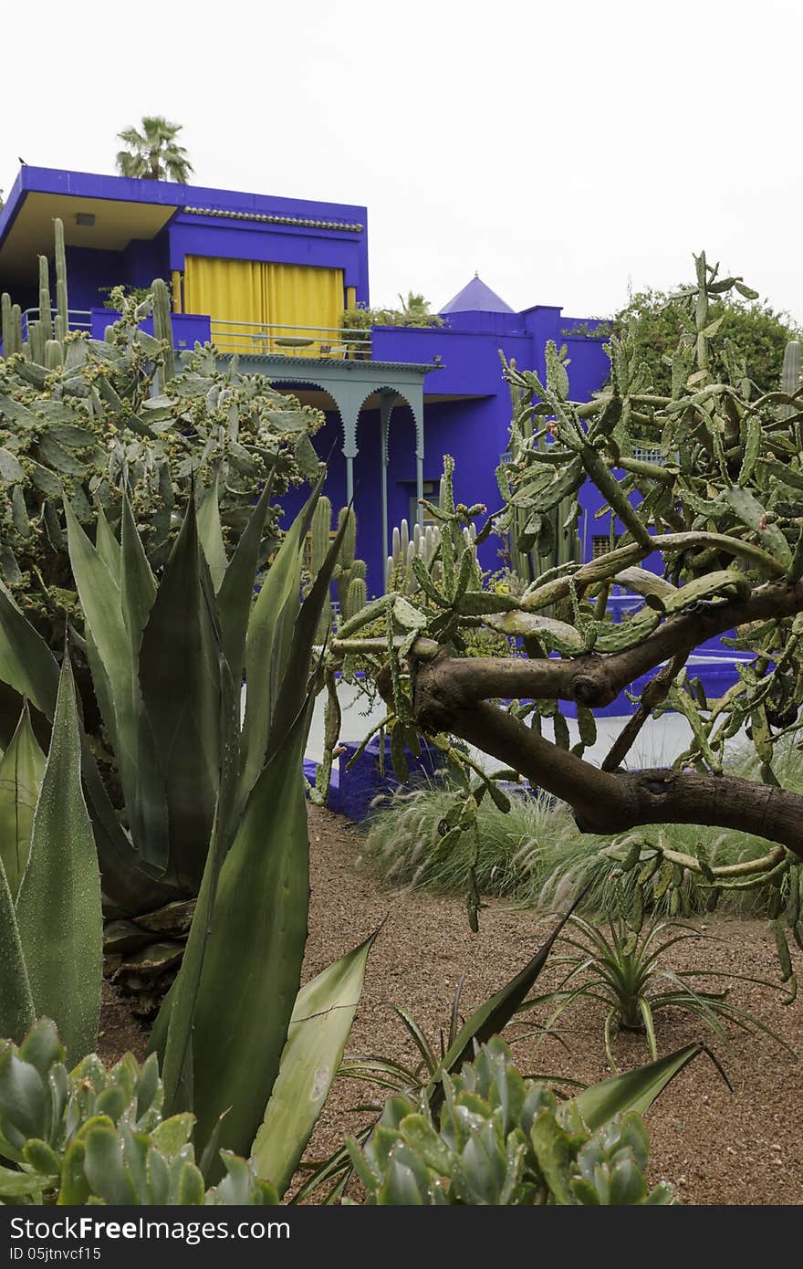 Buildings in majorelle on a rainy day