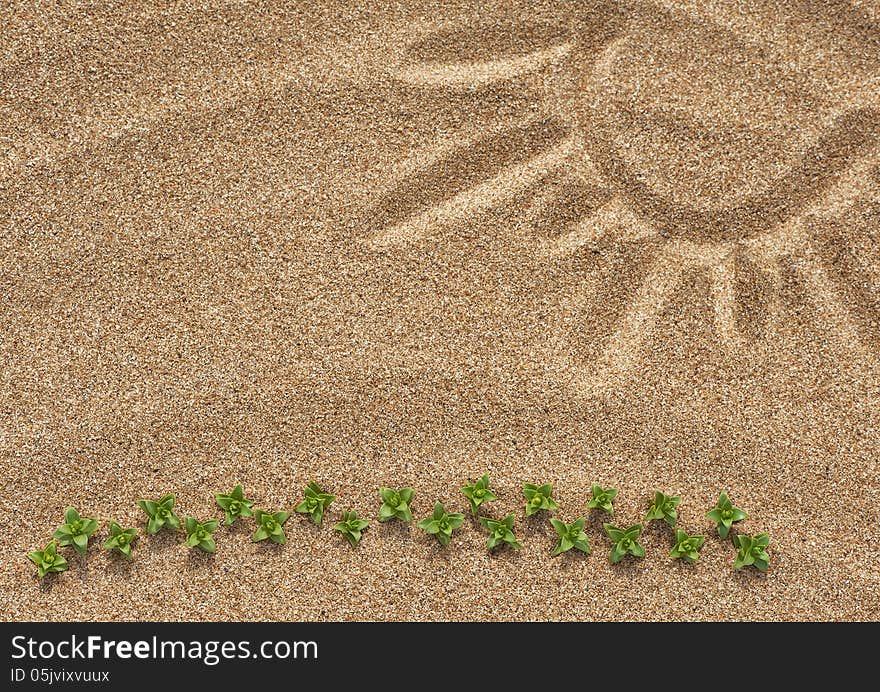 Drawing sun on the sand and green plants. Drawing sun on the sand and green plants