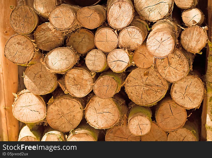 Saw cut logs