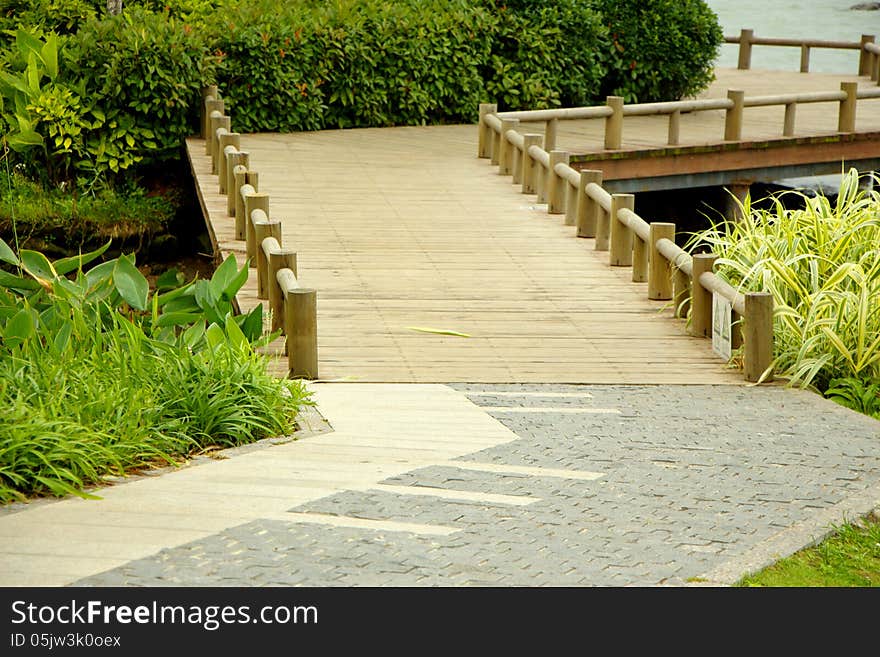 A Garden Pathway