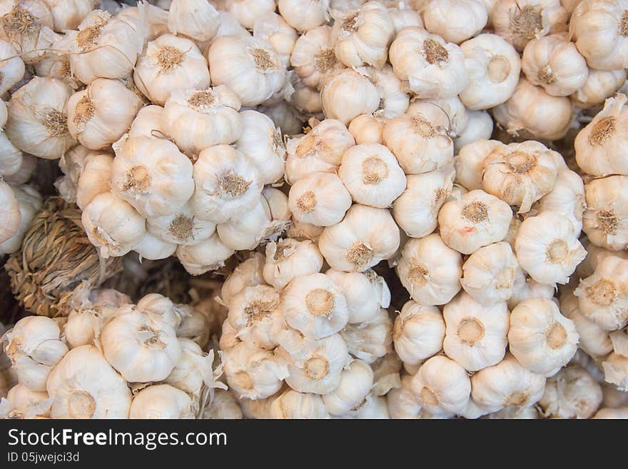 Pattern of garlic