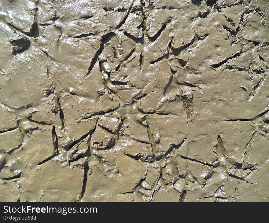 Birds footprints in brown mud