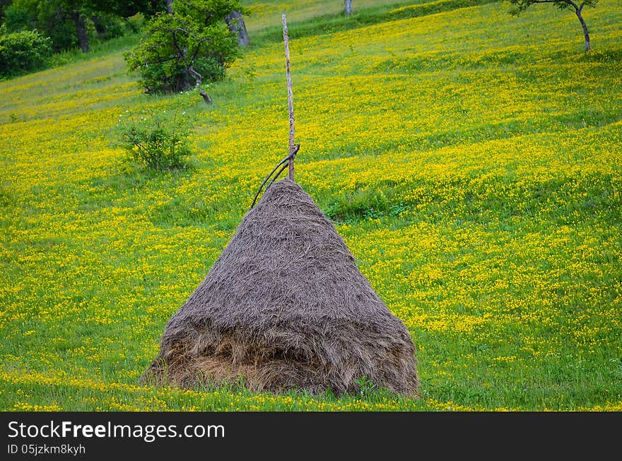 Straw Barn