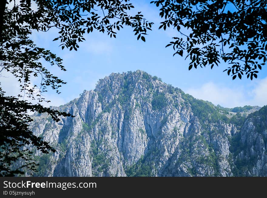 Mountain viewed through the leaves