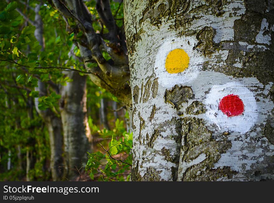 Yellow and red trail sign painted on tree bark. Yellow and red trail sign painted on tree bark