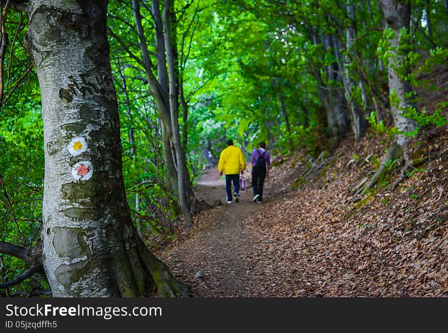 Trail Signs