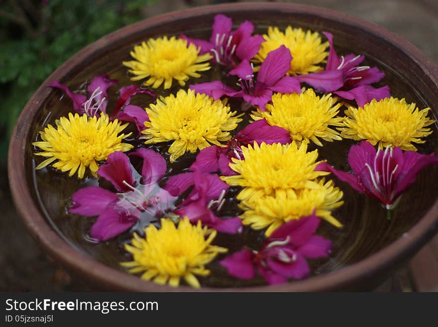 Flowers in bowl