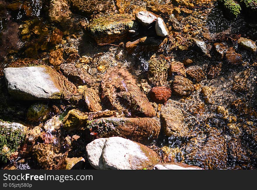 Background of river rocks, with light efects on the water. Background of river rocks, with light efects on the water.