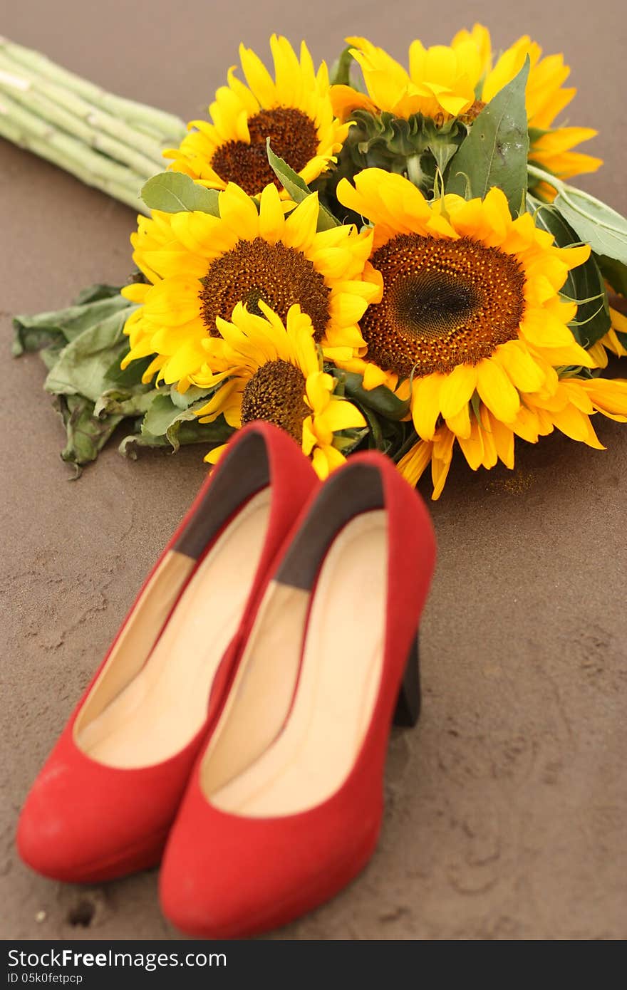 Sunflower and shoes