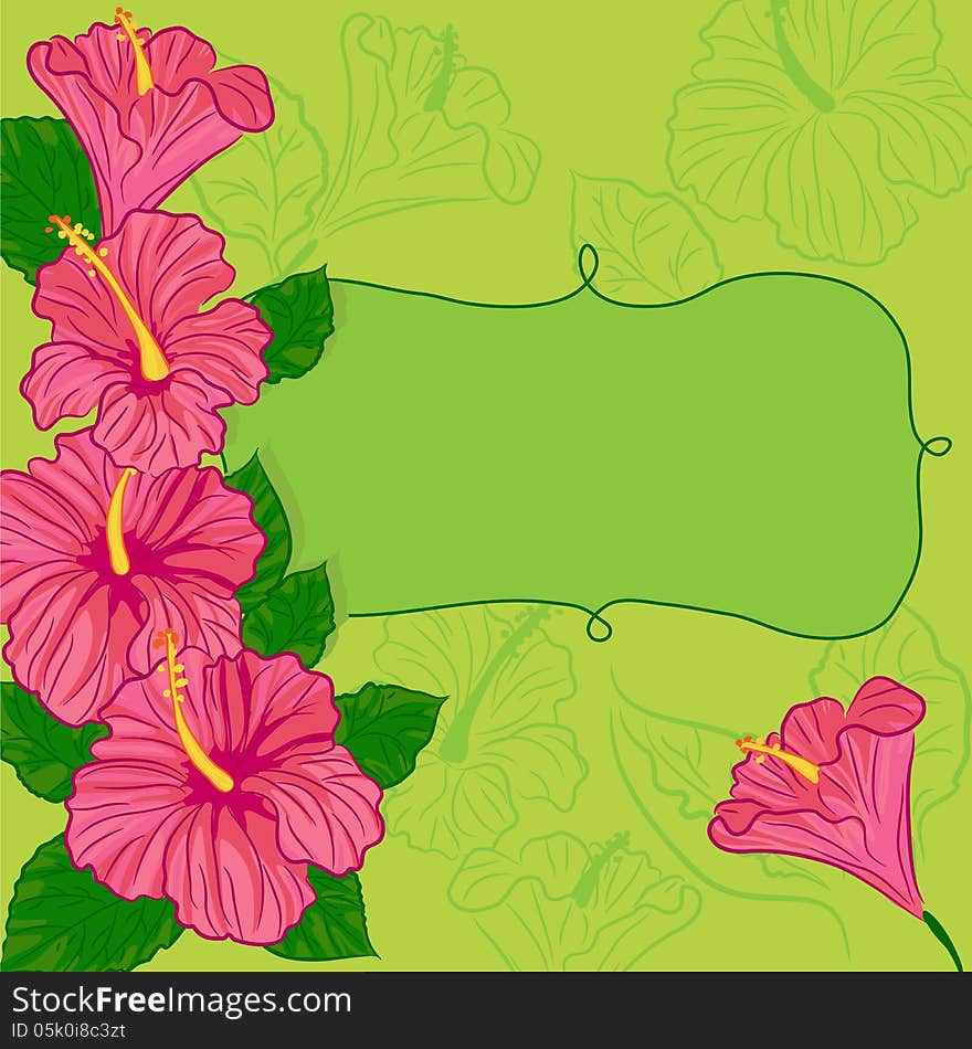 Green background with pink hibiscus. Green background with pink hibiscus