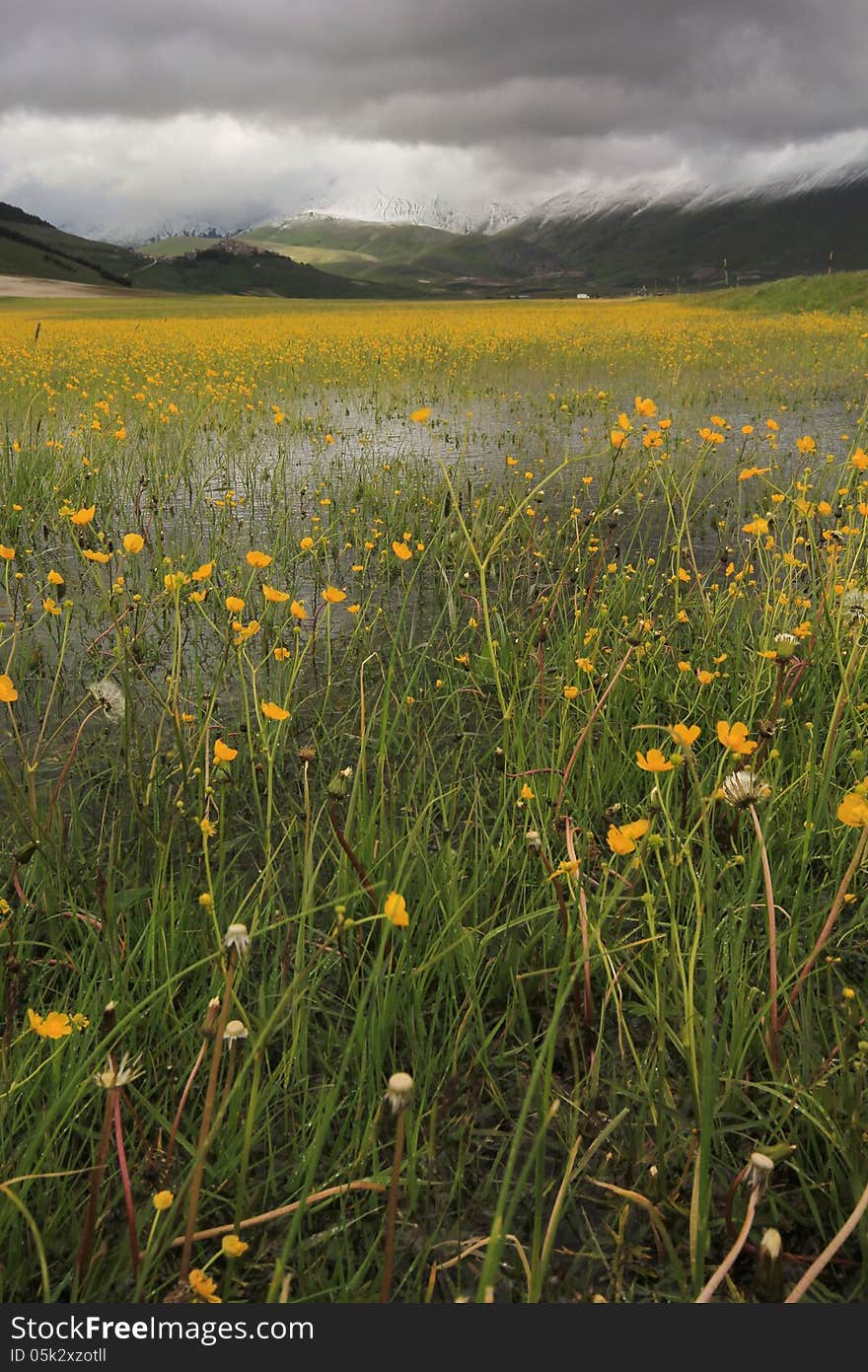 Castelluccio Before The Storm