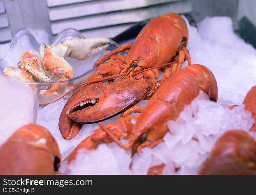 Closeup image of fresh and delicious lobster seafood on ice cubes.