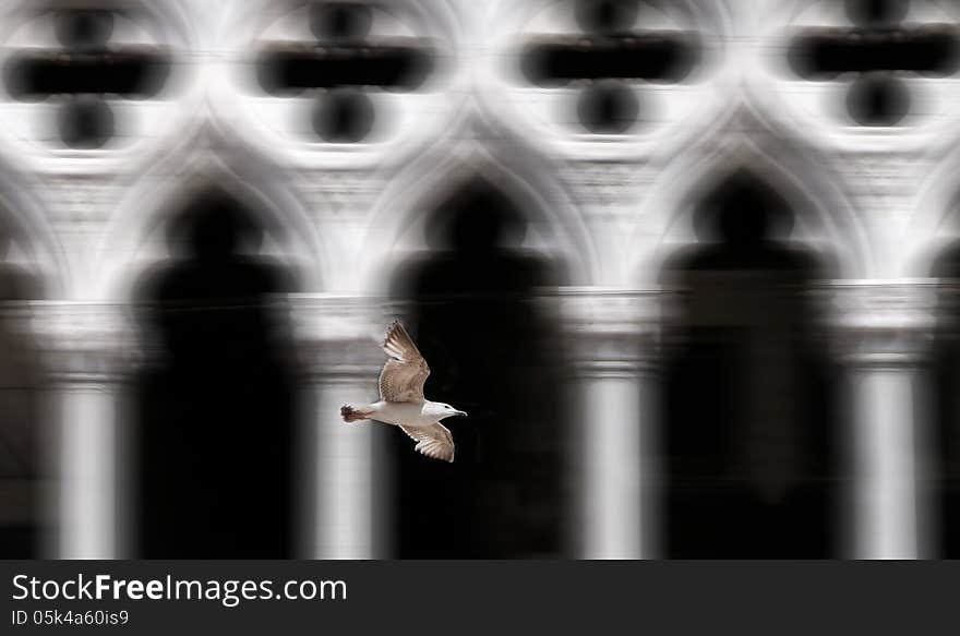 Doges Palace, Venice,Italy