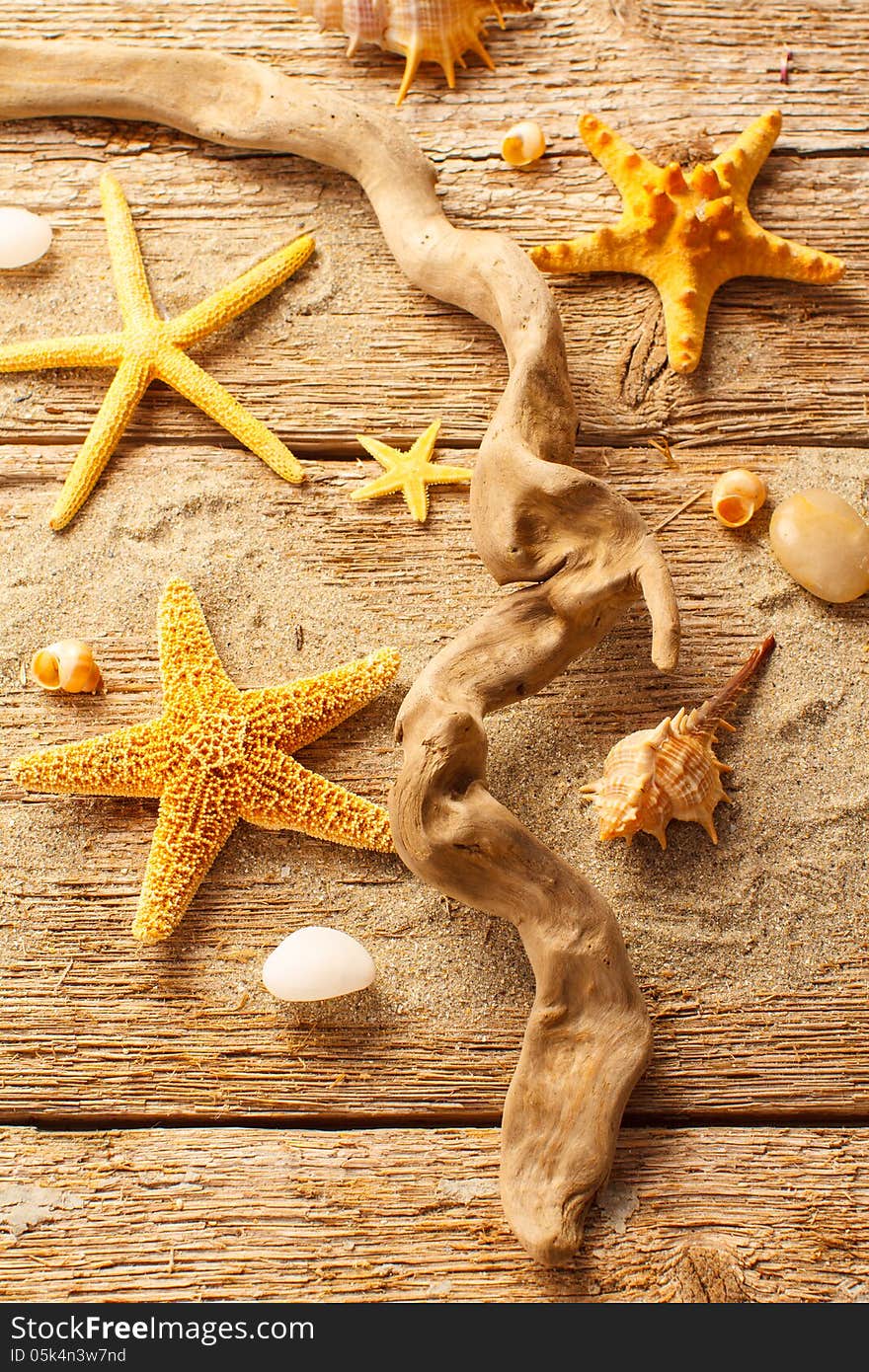 Starfish and shells on wood with sand. Starfish and shells on wood with sand