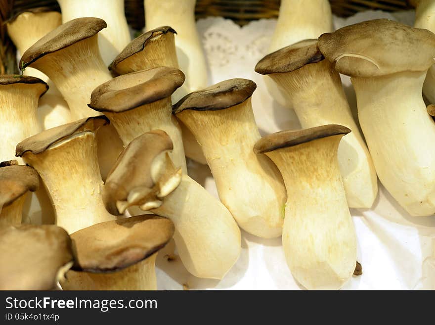 Closeup image of some fresh and delicious chinese mushrooms. Closeup image of some fresh and delicious chinese mushrooms.