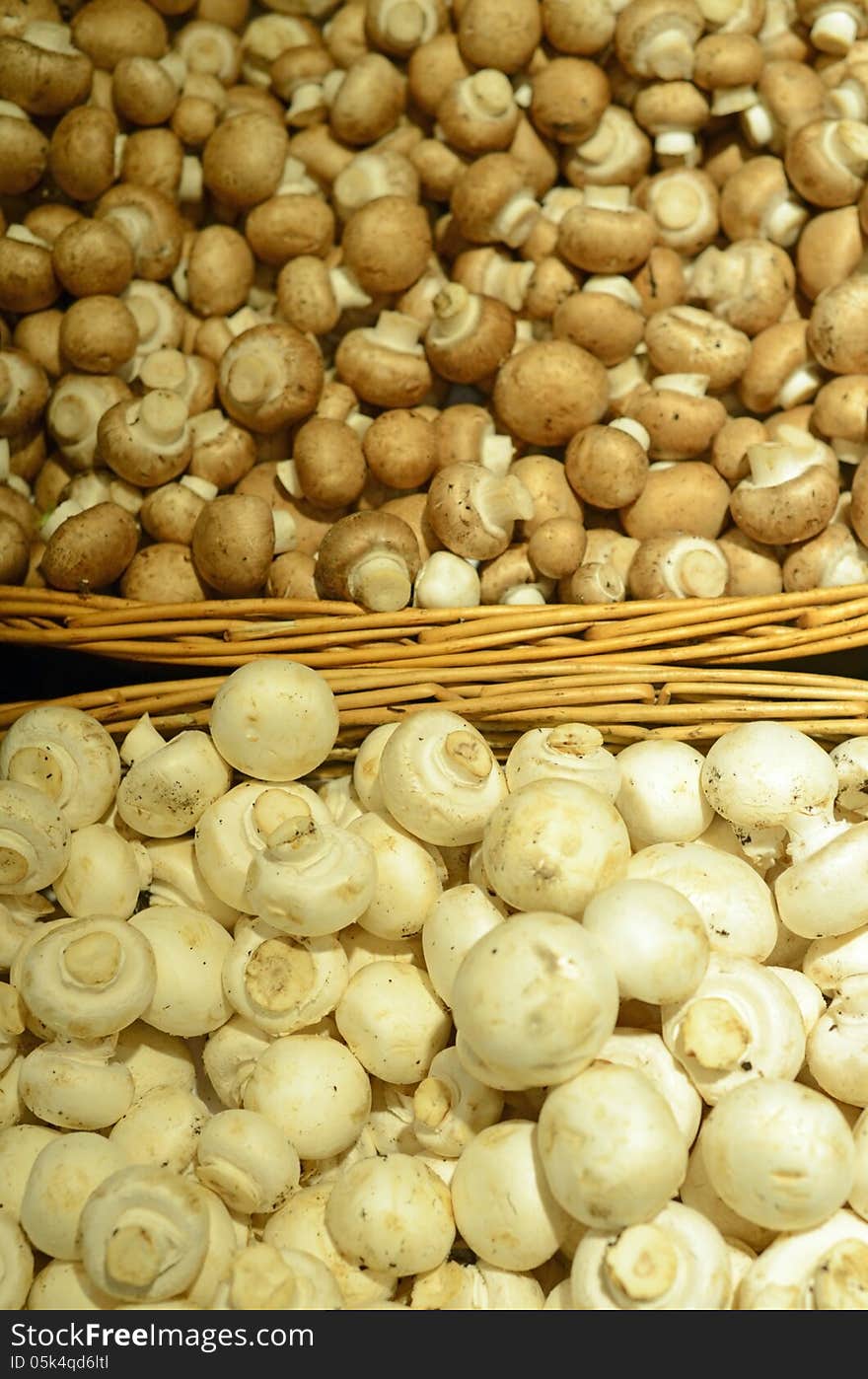 Closeup image of some fresh organic, delicious mushrooms. There are two different kinds of mushrooms. Closeup image of some fresh organic, delicious mushrooms. There are two different kinds of mushrooms.