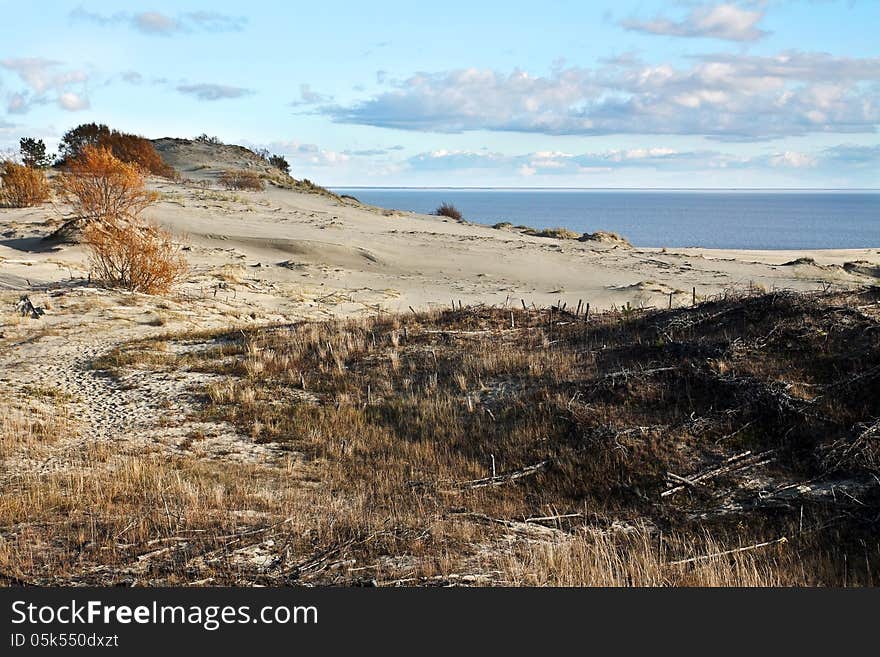 Sand dune on the beach