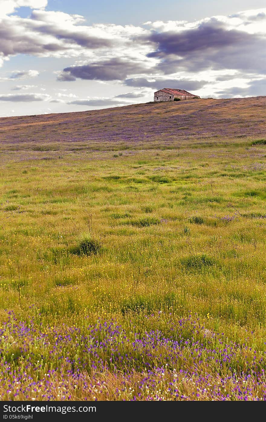 Cottage on the hill above a blanket of flowers and grass on a beautiful sunset. Cottage on the hill above a blanket of flowers and grass on a beautiful sunset