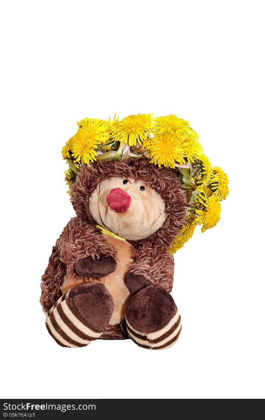 Hedgehog in a wreath of dandelions