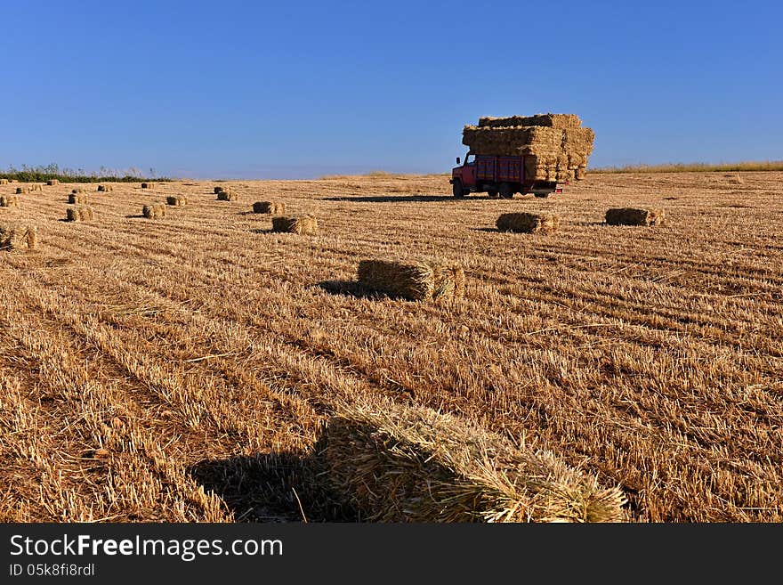 Bales of hay being transported. Bales of hay being transported