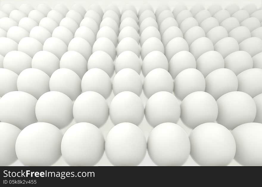 White eggs in rows