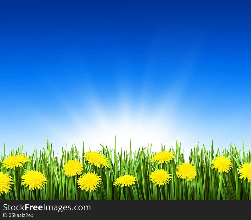 Green grass with beautiful flowers on a blue background. Green grass with beautiful flowers on a blue background