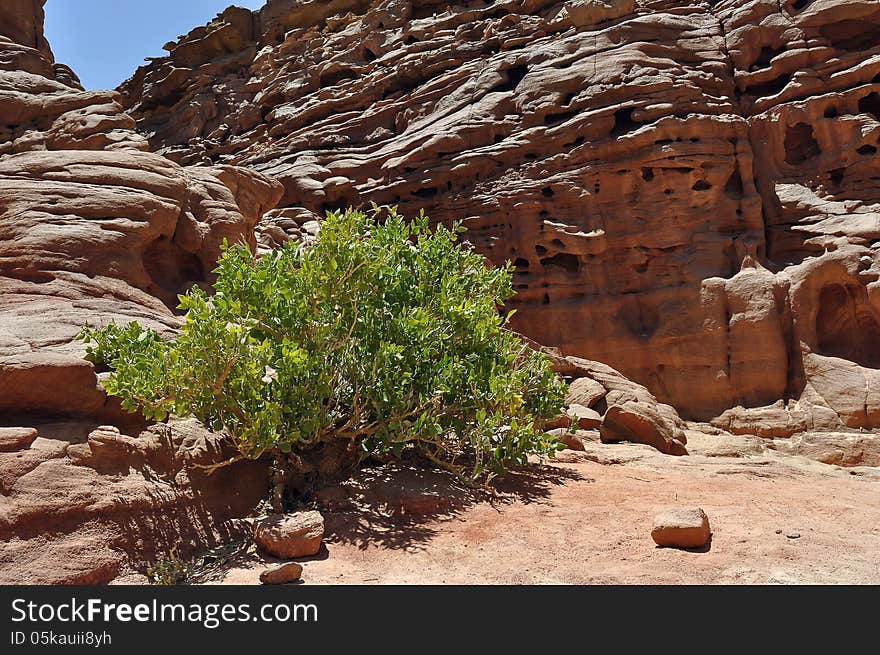 Egypt, the mountains of the Sinai desert