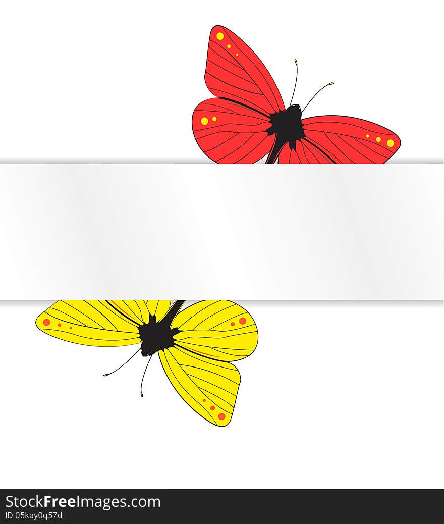 Two Butterflies Under The White Paper Tab