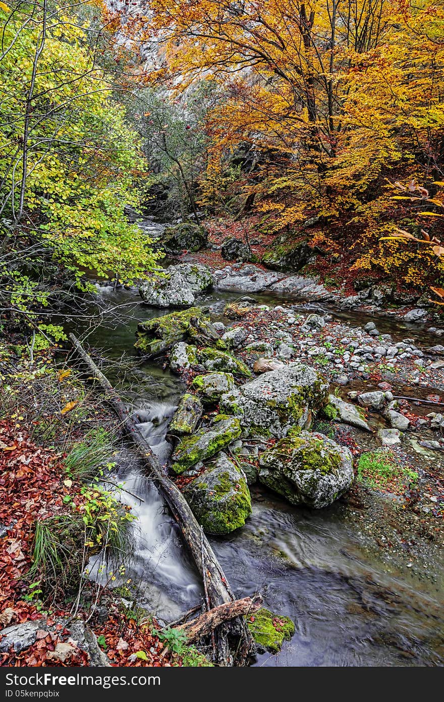 Autumn rocky landscape in the Rametului Gorges located in Apuseni Mountains, Transylvania,Romania.