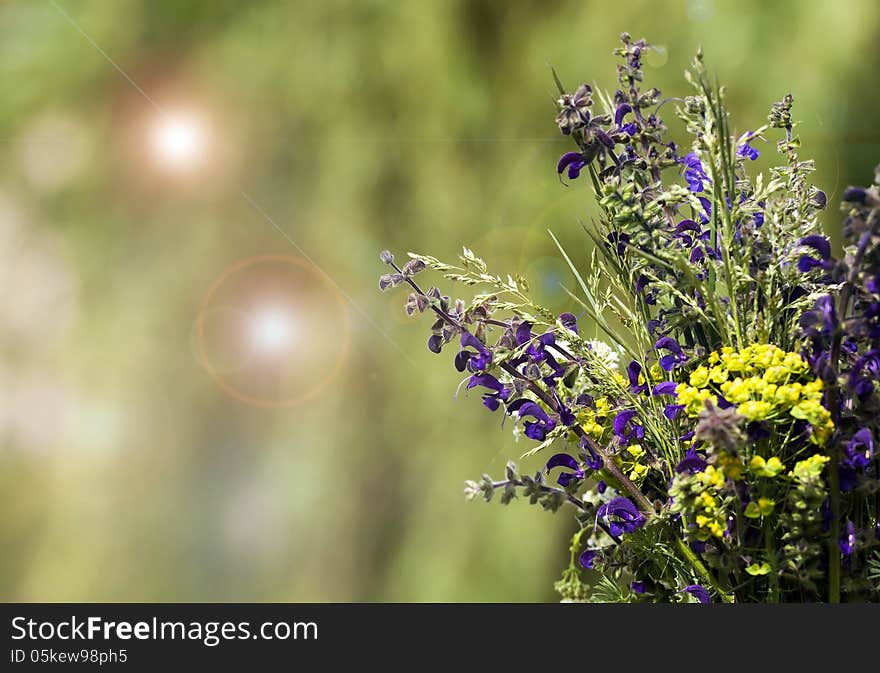 Spring flower background