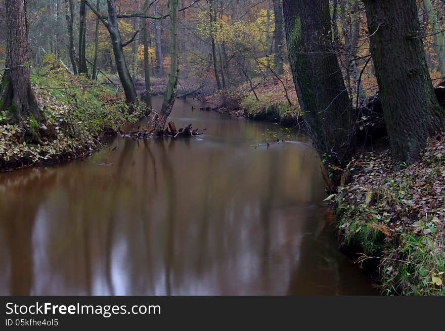 The photograph shows a small river flowing through the forest. It is autumn, the trees are mostly devoid of leaves, there are a few yellow leaves. The photograph shows a small river flowing through the forest. It is autumn, the trees are mostly devoid of leaves, there are a few yellow leaves.