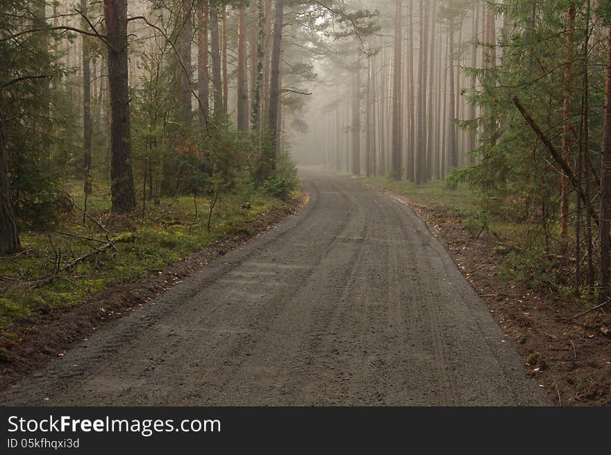 Forest Road.