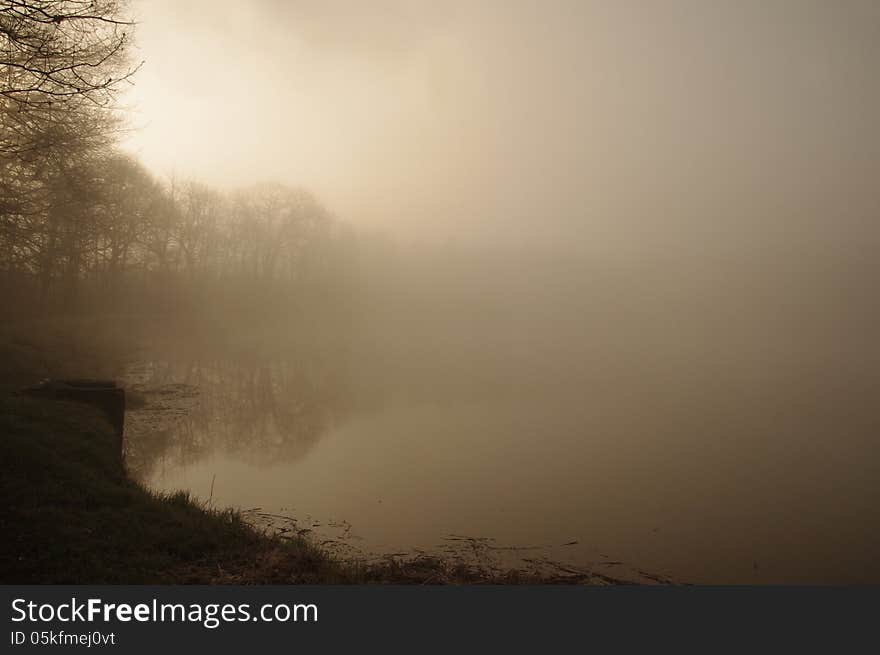 Foggy morning.