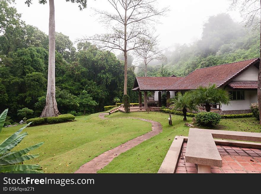 House in the valley and fog above the roof. House in the valley and fog above the roof