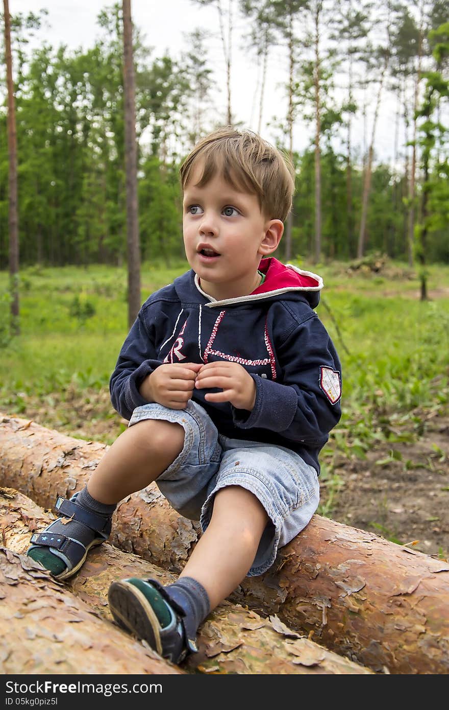 Cute three years boy in the forest on logs. This image has attached release.