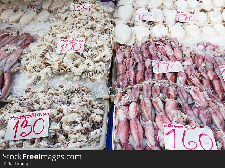 Fresh squid