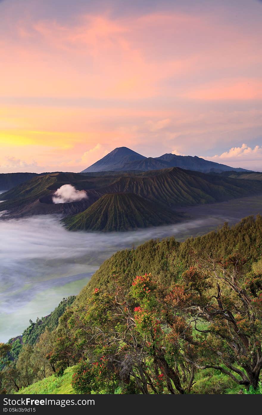 Bromo Mountain in Tengger Semeru National Park at sunrise, East Java, Indonesia