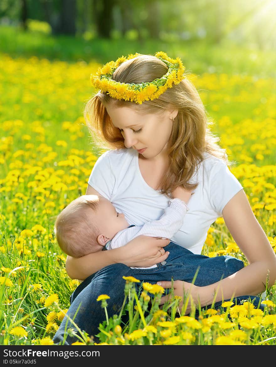 Mother  feeding her baby in nature green meadow with yellow flow