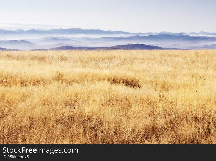 Scenery - Highland Grass