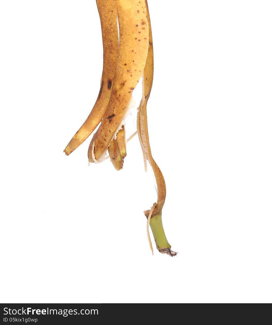 Banana peel is pendent on a white background