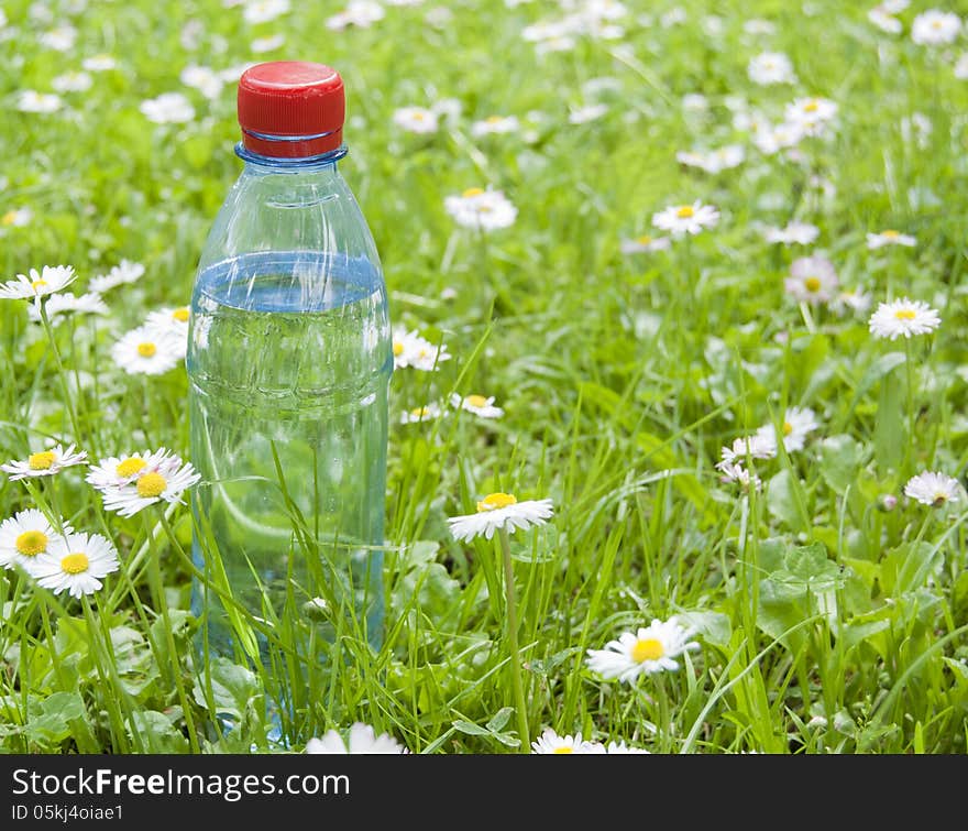 Bottle of drink still water on the grass